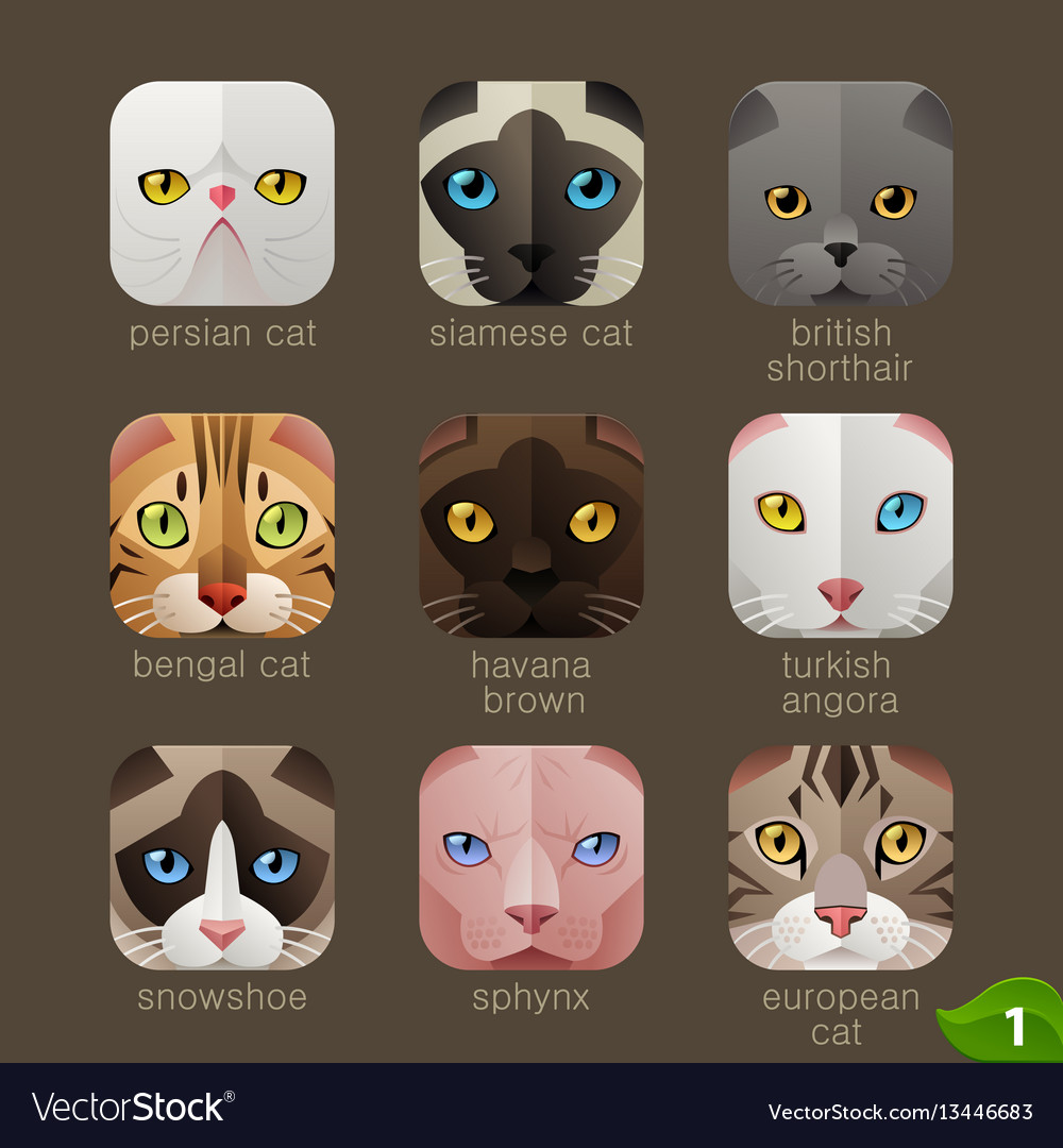 Free Vectors  Cat face icon set