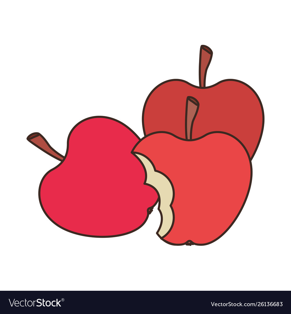 Apple fruit color red isolated icon