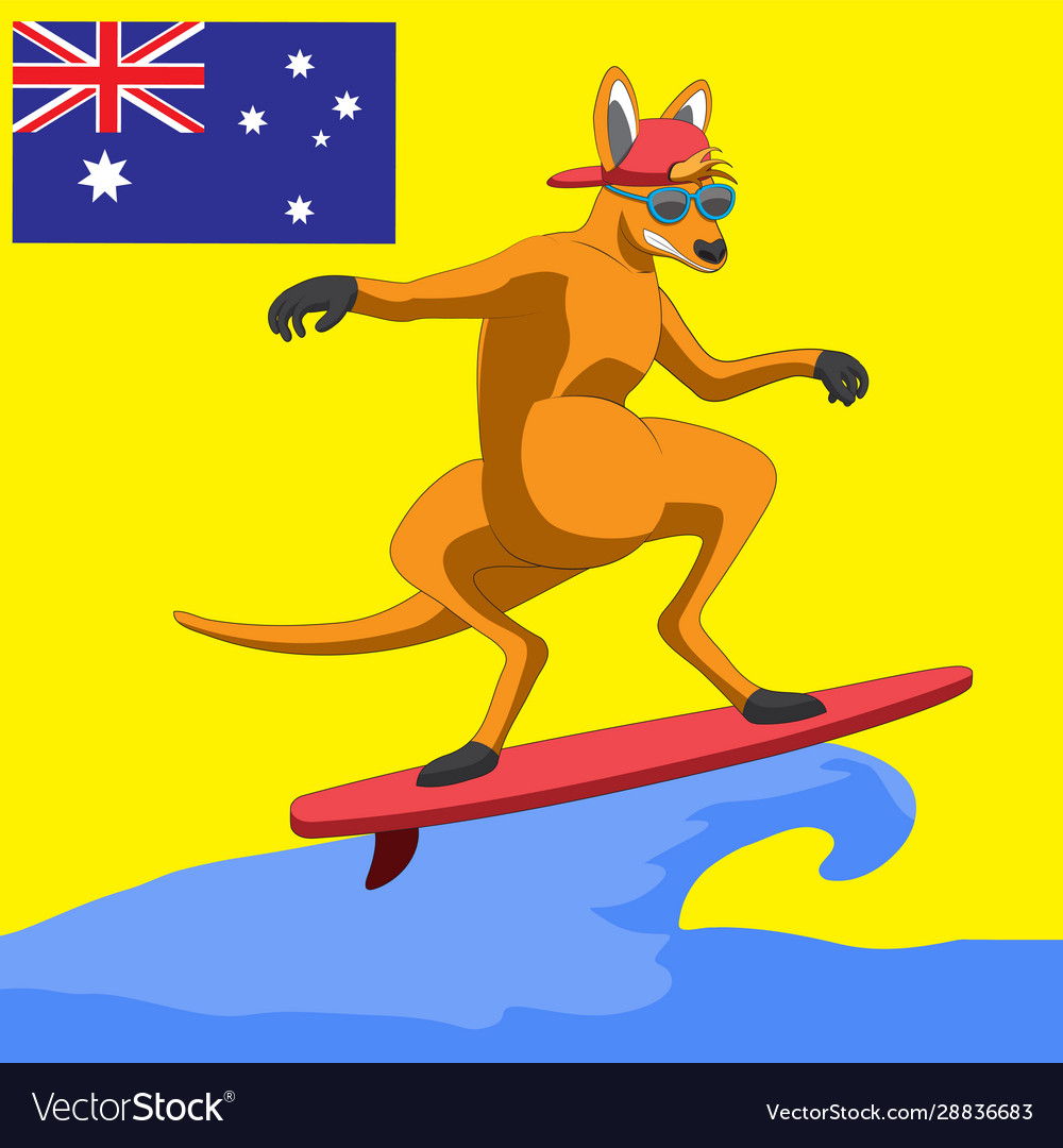 Character is a kangaroo animal surfing vector image Character is a kangaroo animal surfing