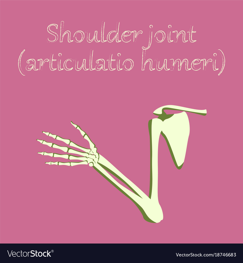 Human organ icon in flat style shoulder joint