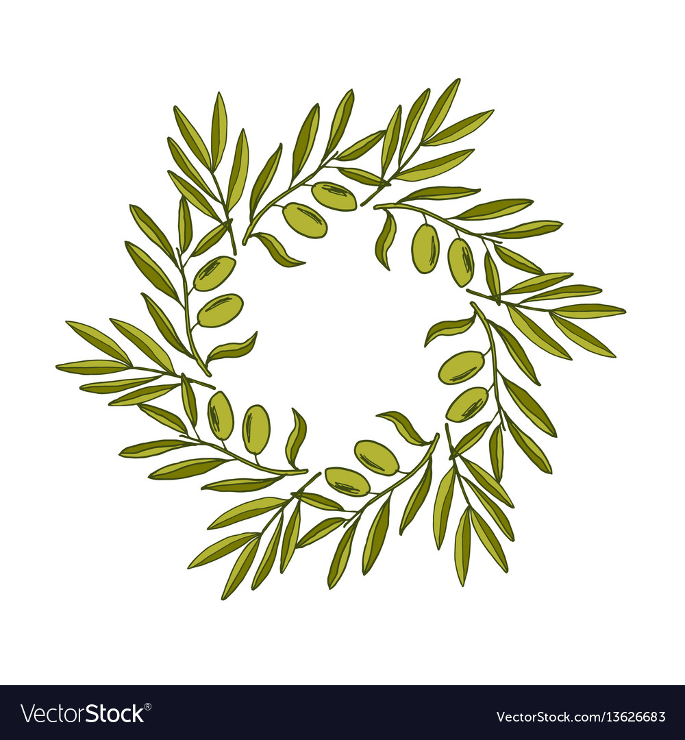Olive wreath with hand drawn branch Royalty Free Vector