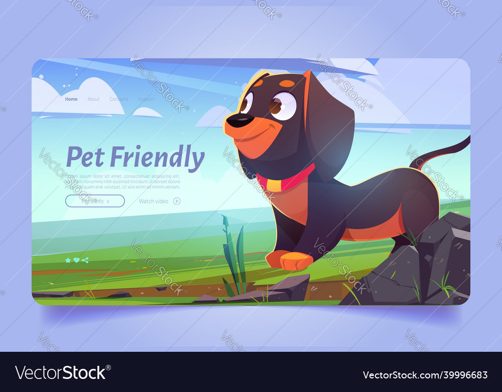Pet friendly banner with cute dog on lawn vector image Pet friendly banner with cute dog on lawn