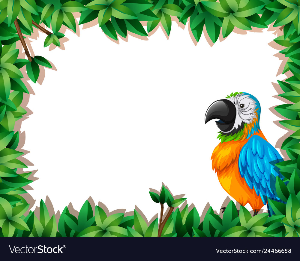 A parrot on nature frame Royalty Free Vector Image