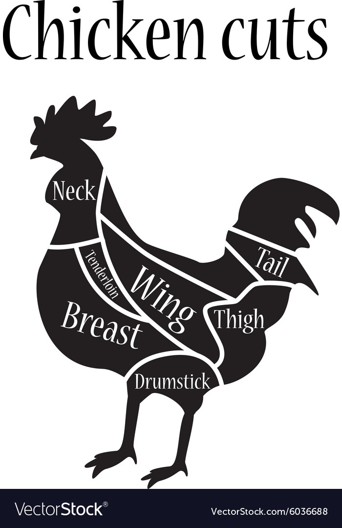 Chicken cuts Royalty Free Vector Image - VectorStock