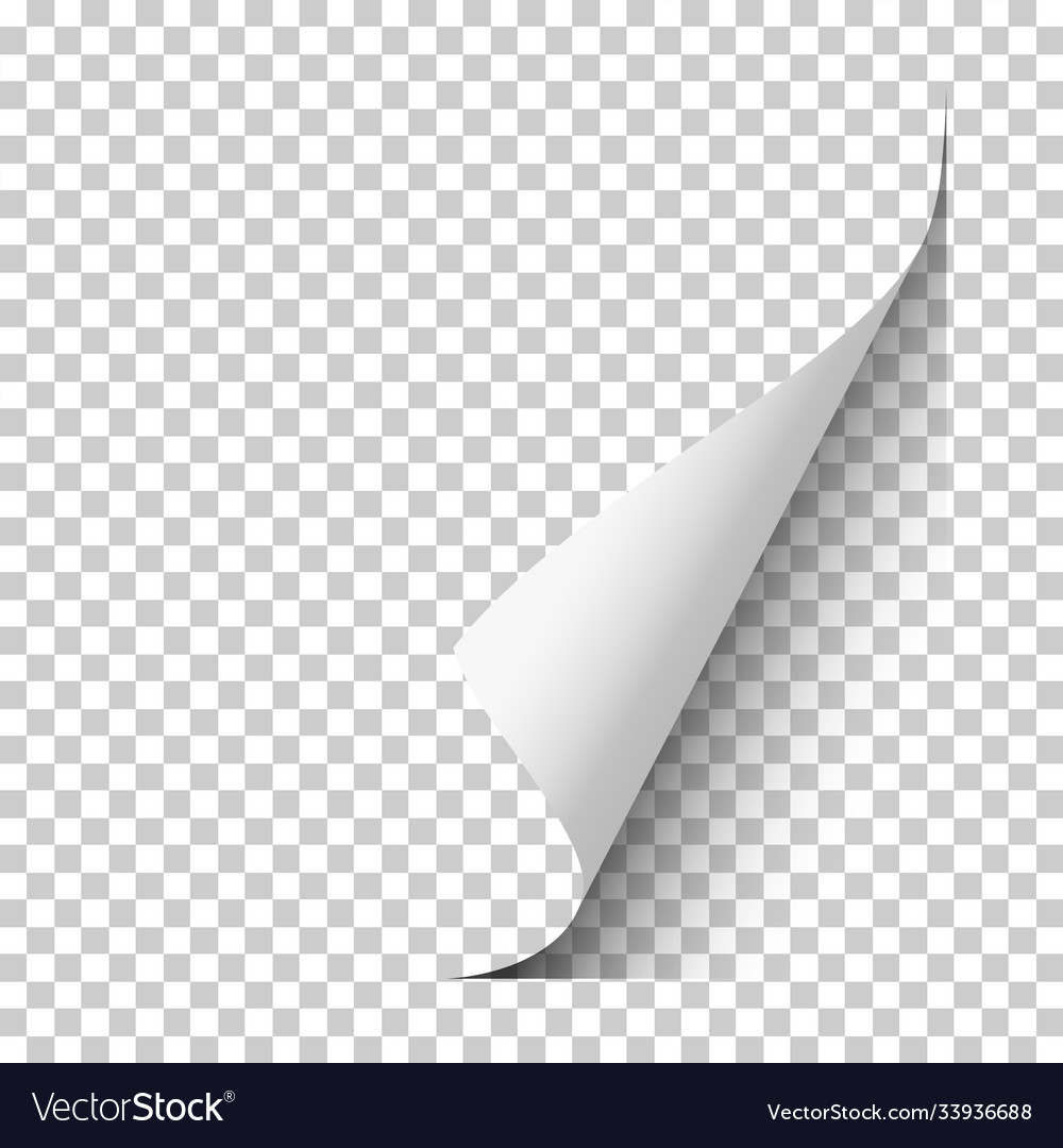 Page with lower right curl shadow on blank vector image Page with lower right curl shadow on blank