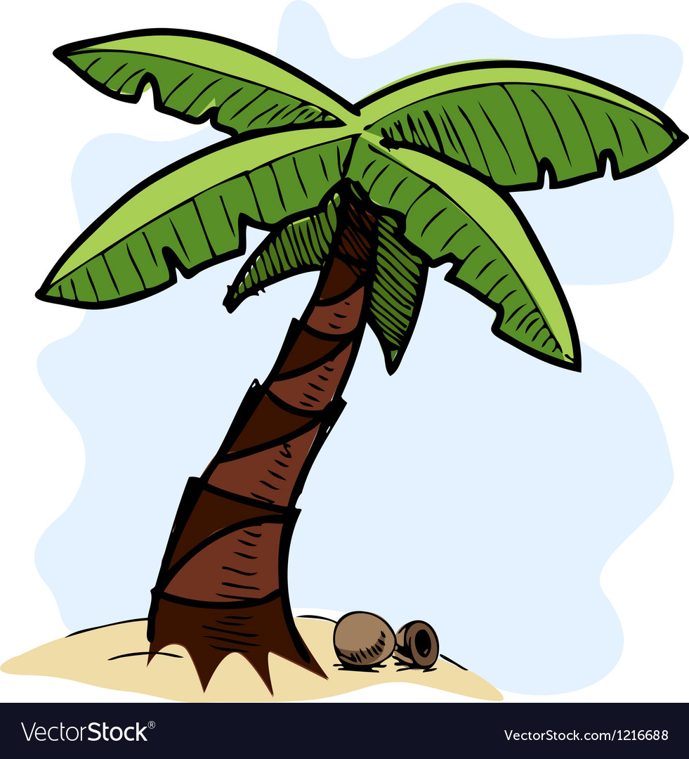 Tropical Palm Tree Colorful Sketch Royalty Free Vector Image