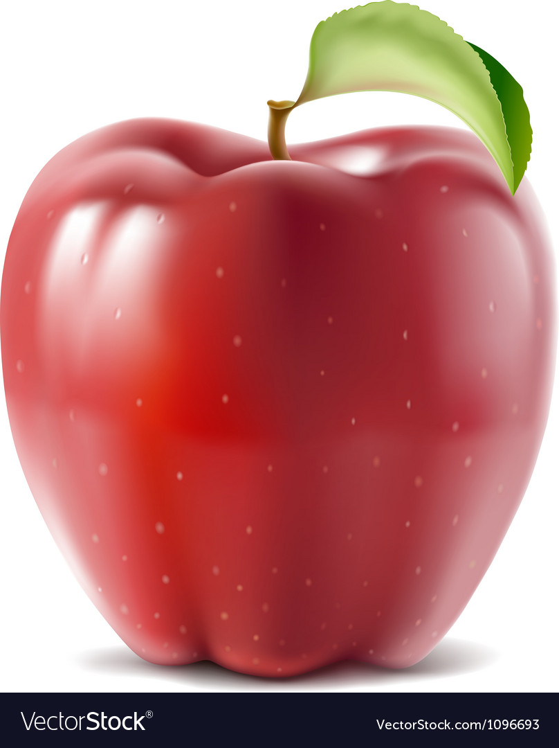 Apple Royalty Free Vector Image - VectorStock