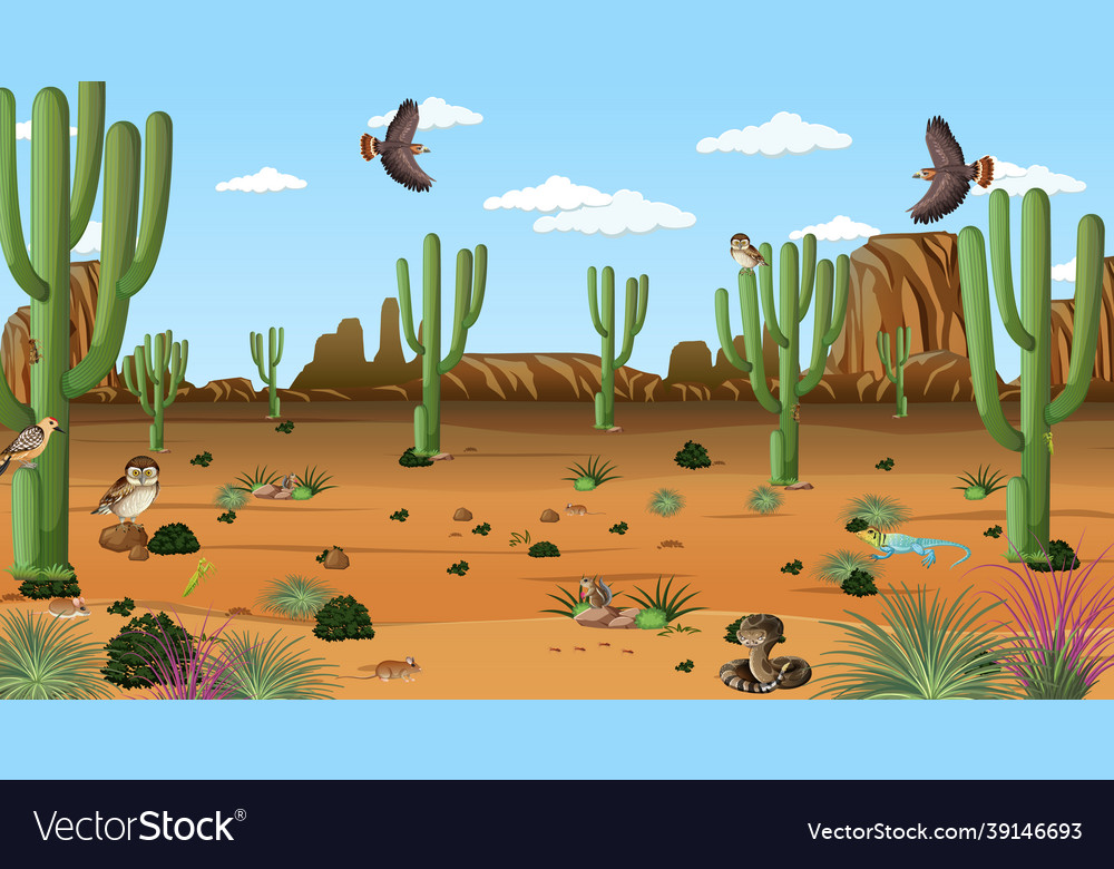 Desert forest landscape at daytime scene Vector Image