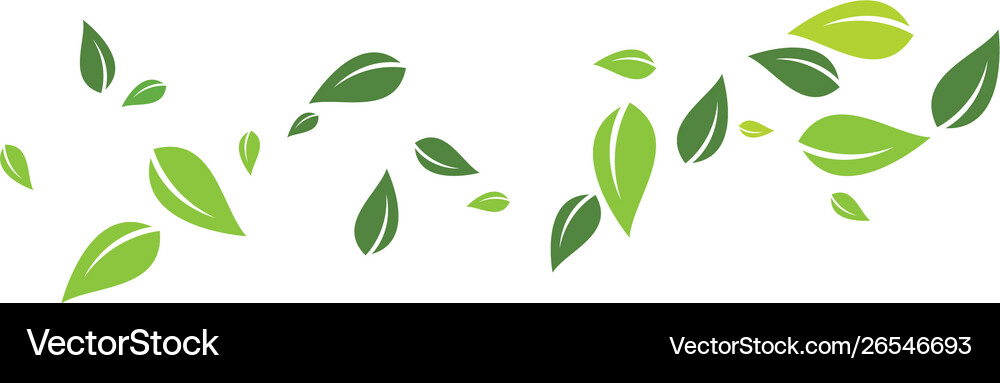 Green leaf background Royalty Free Vector Image