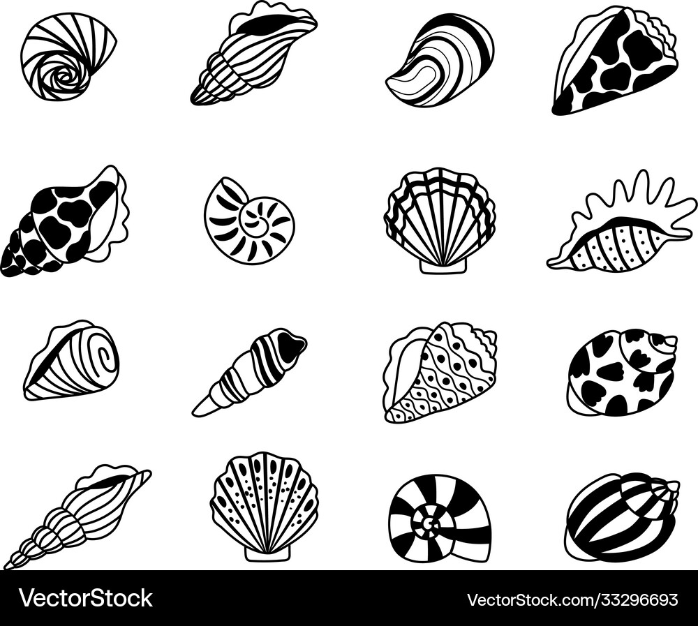 Seashell Icon Set Royalty Free Vector Image - VectorStock