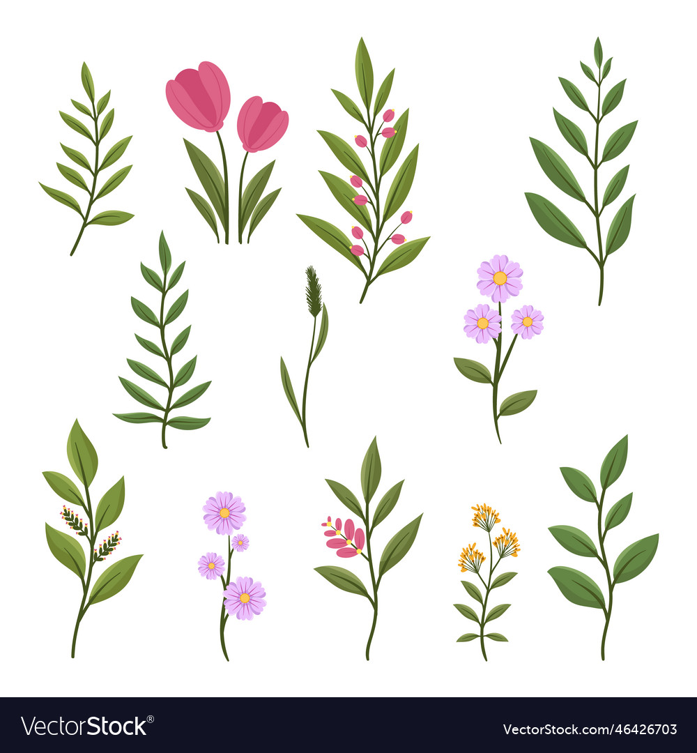 Botanical garden element set Royalty Free Vector Image