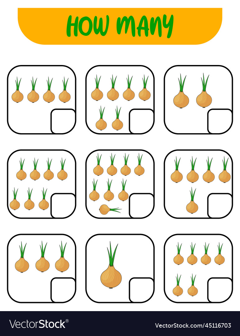 Count how many onions write down the answer vector image Count how many onions write down the answer