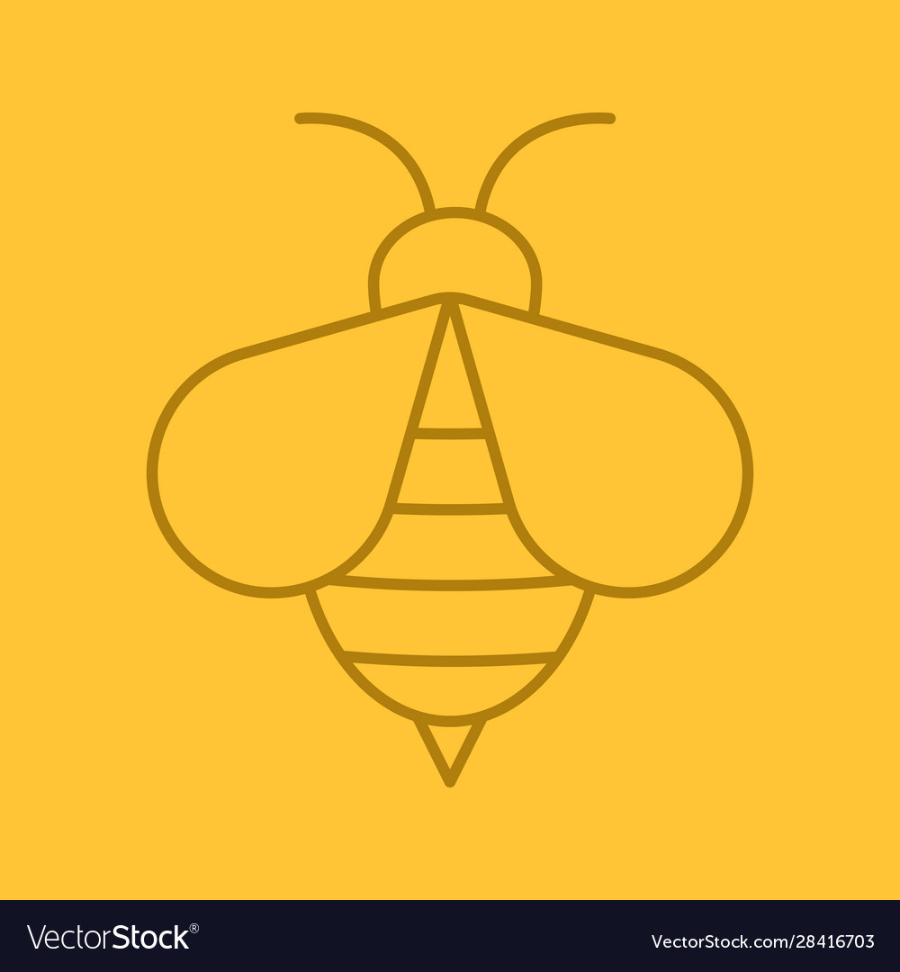 Honey bee color linear icon