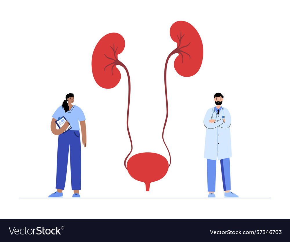 Kidney disease concept Royalty Free Vector Image