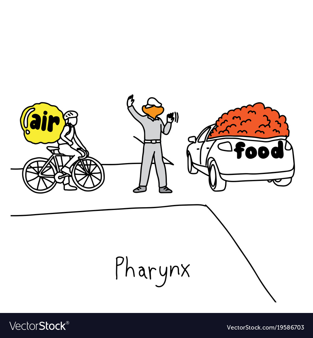 Metaphor function of pharynx to manage traffic