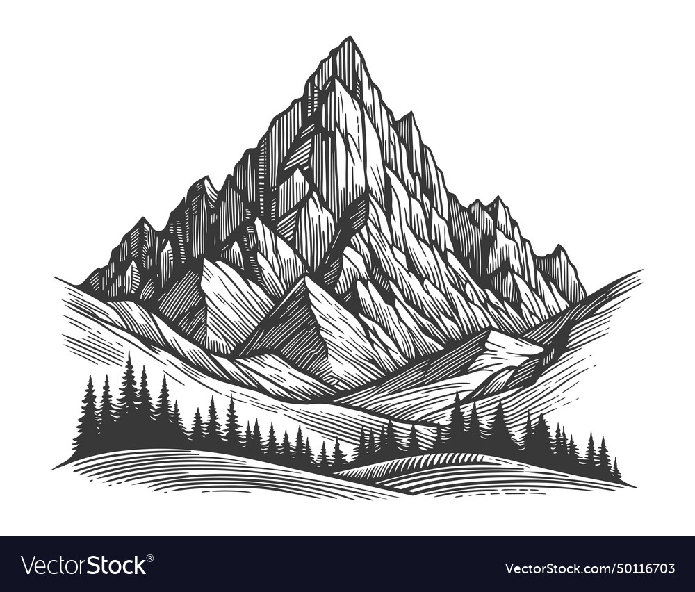 Mountains and forest in engraving style vector image Mountains and forest in engraving style