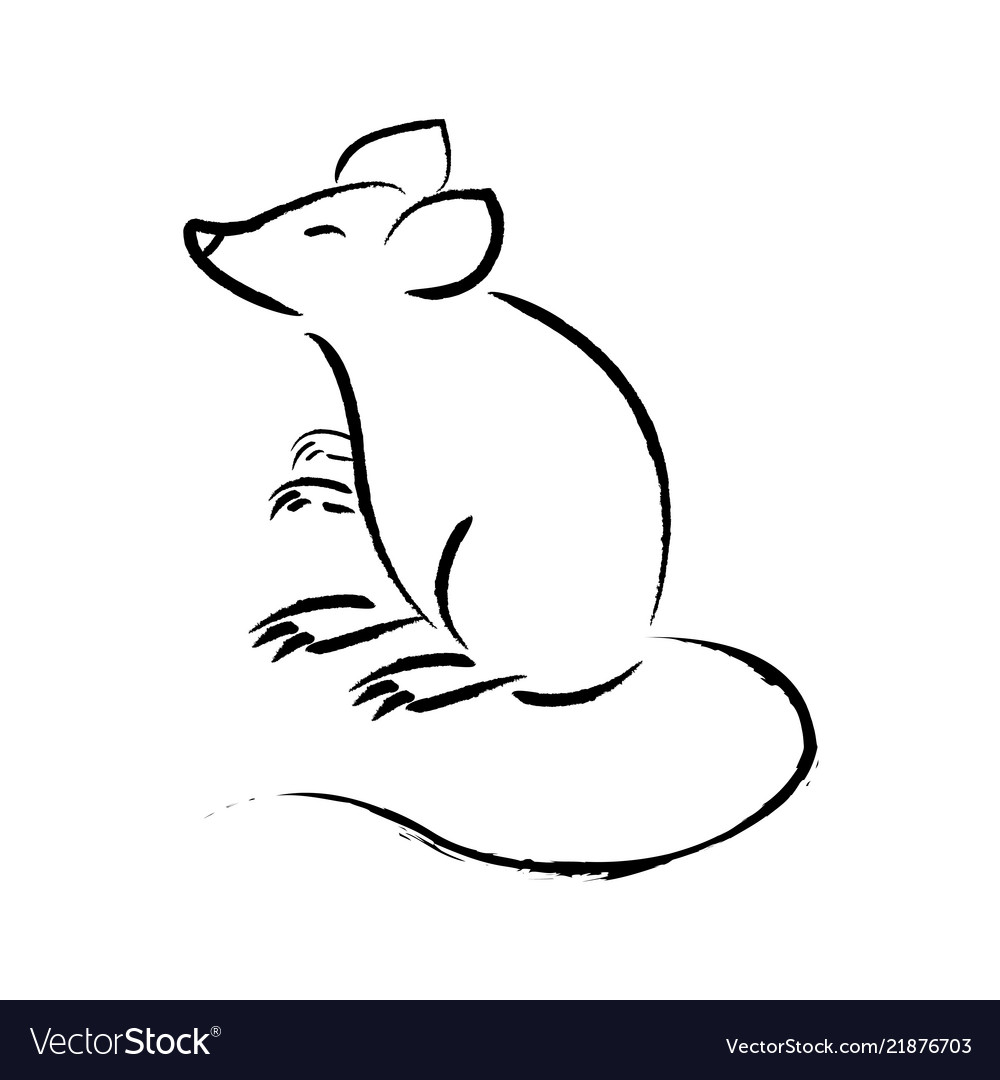 Outline draw mouse Royalty Free Vector Image VectorStock