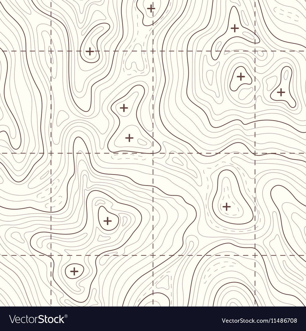 Contour elevation topographic seamless map Vector Image