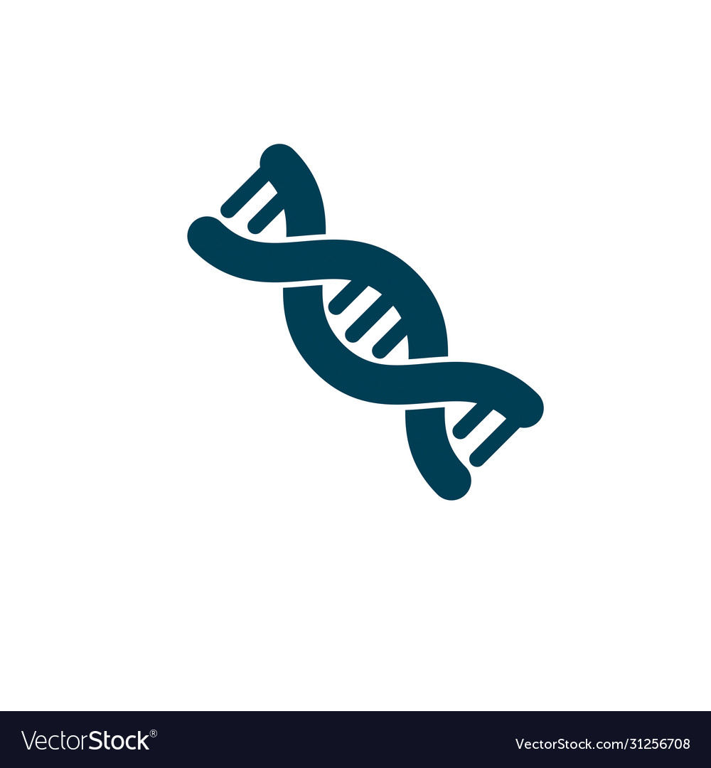 Model human dna double helix genetic Royalty Free Vector