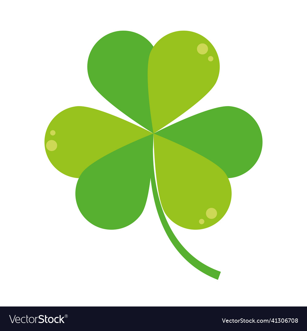 Shamrock plant leaves