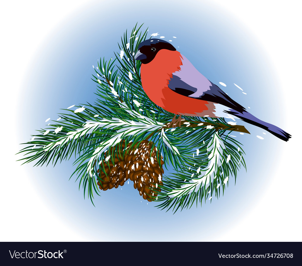 Spruce Branch with Bird