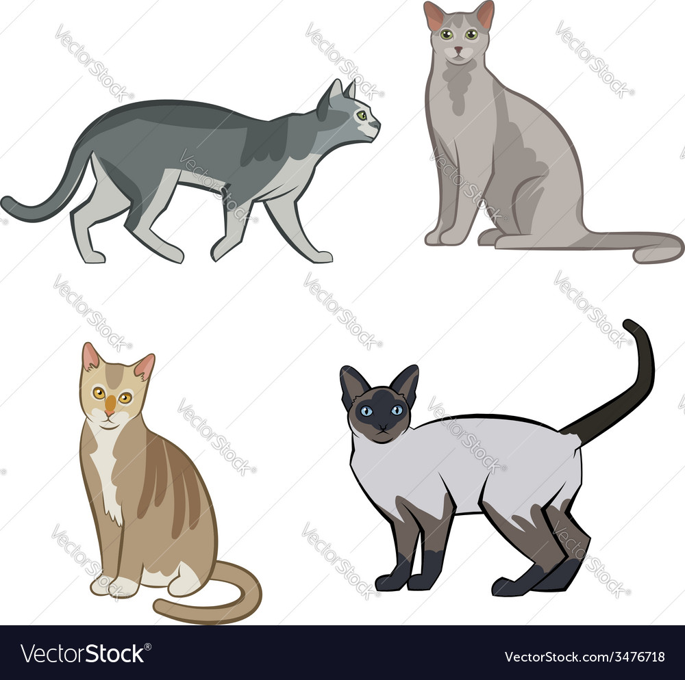 Set of cute cartoon kitties or cats Royalty Free Vector