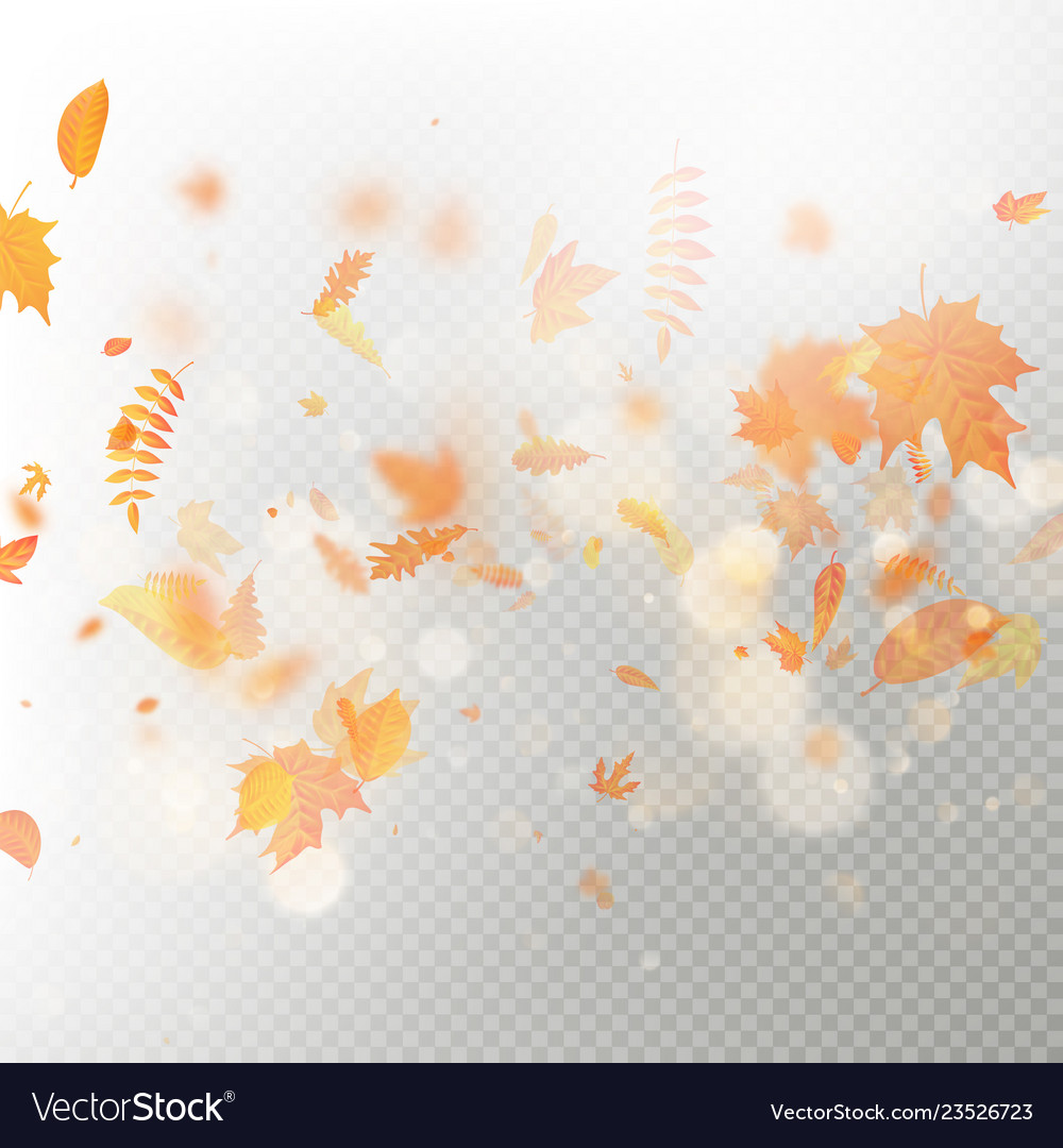 Effect of autumn falling leaves layer with shallow vector image Effect of autumn falling leaves layer with shallow