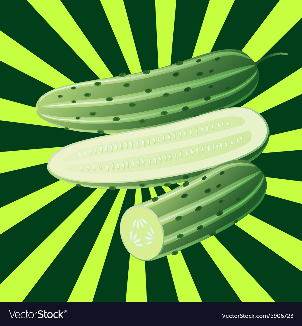 Fresh Cucumber Slice