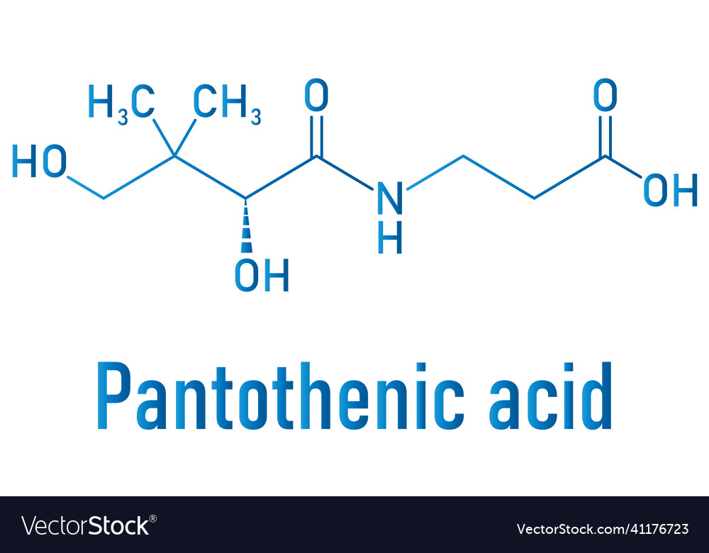 Vitamin B5 Or Pantothenic Acid Skeletal Formula Vector Image