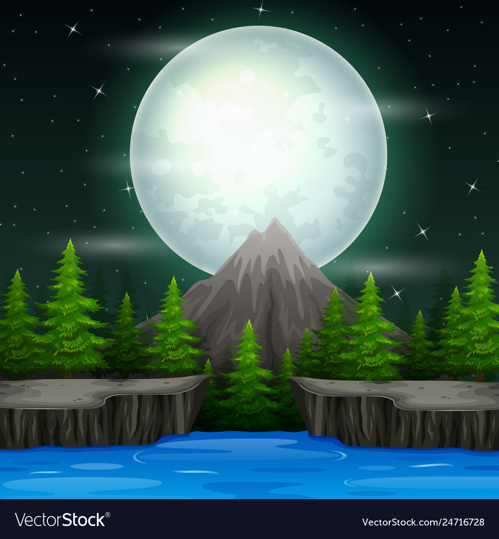 Beautiful nature landscape at night background Vector Image