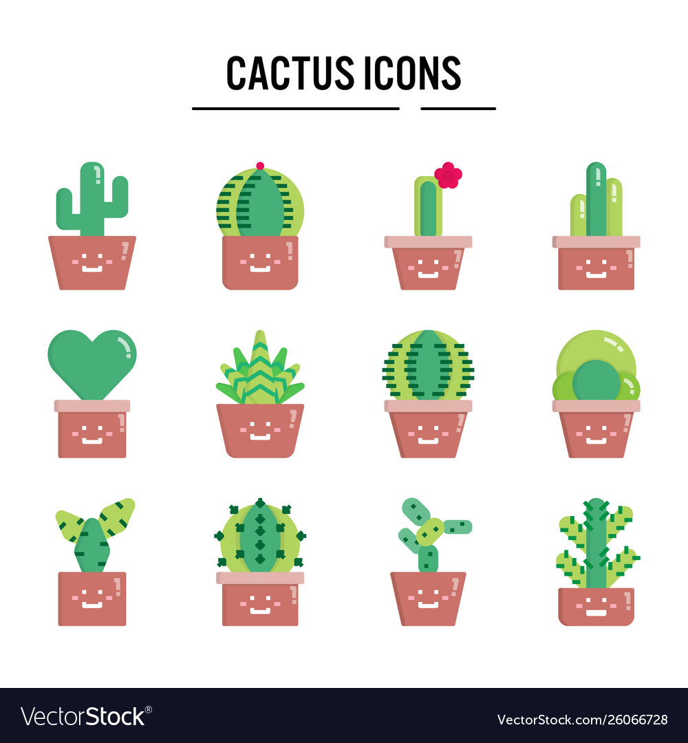 Cactus icon in flat design for web vector image Cactus icon in flat design for web