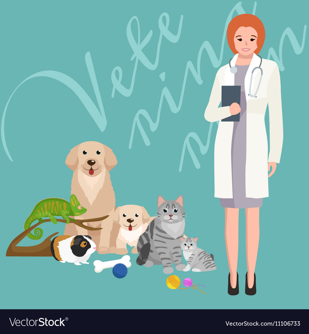 Group of pets and veterinary doctor with animals Vector Image Group of pets and veterinary doctor with animals Vector Image