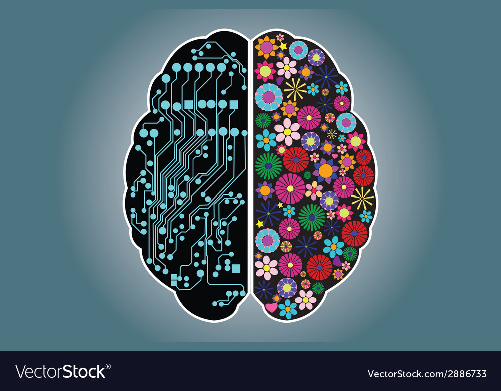 Left and right side brain logic and Royalty Free Vector