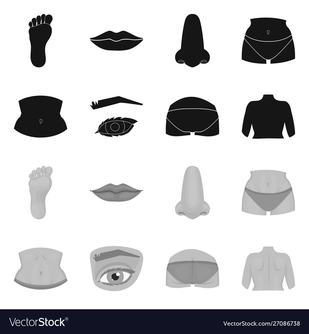 Isolated object body and part symbol vector image Isolated object body and part symbol