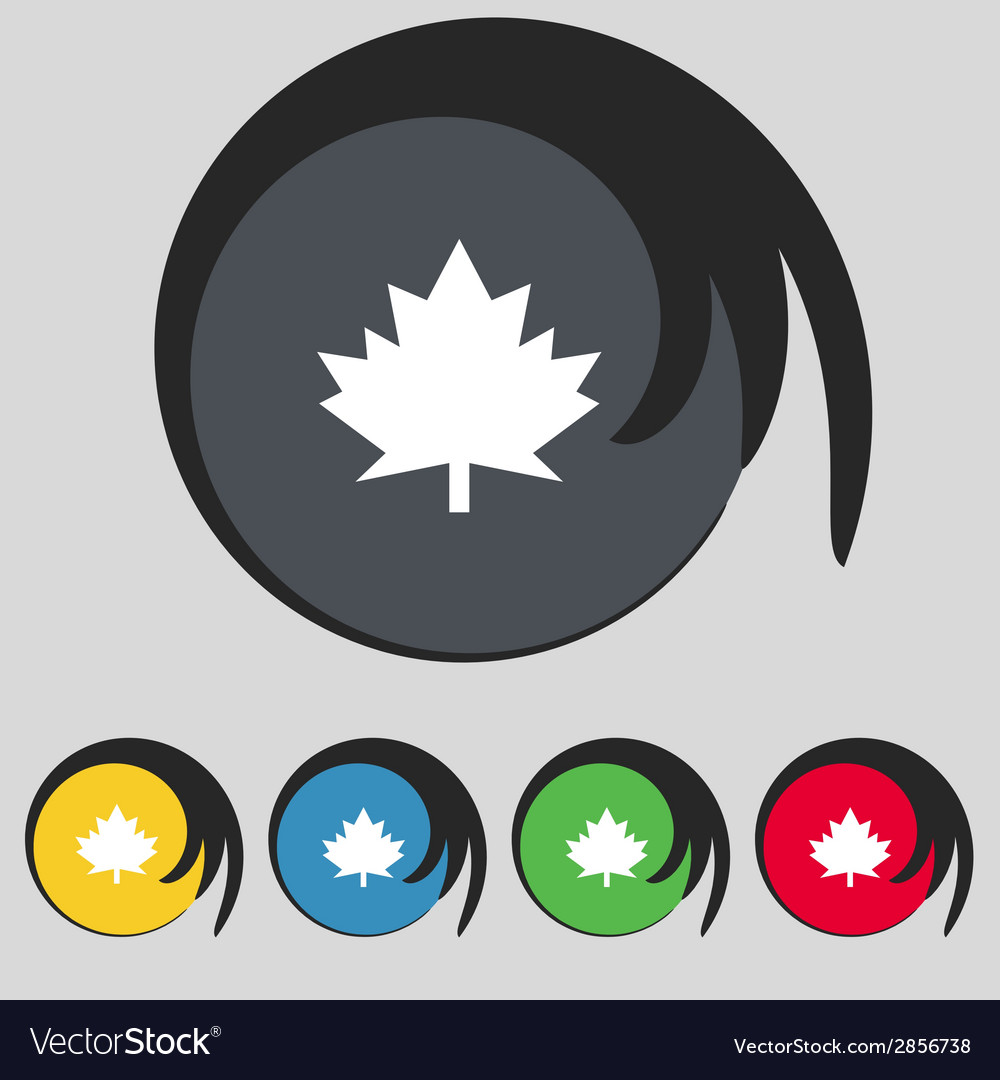 Maple leaf icon set colourful buttons