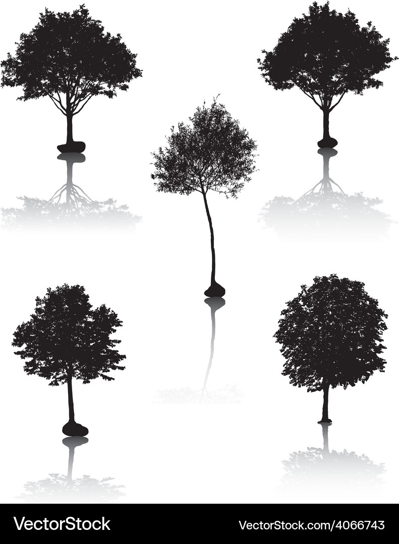 Tree silhouettes Royalty Free Vector Image - VectorStock