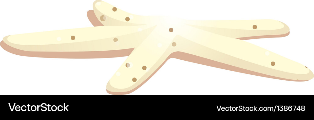 Icon starfish Royalty Free Vector Image - VectorStock