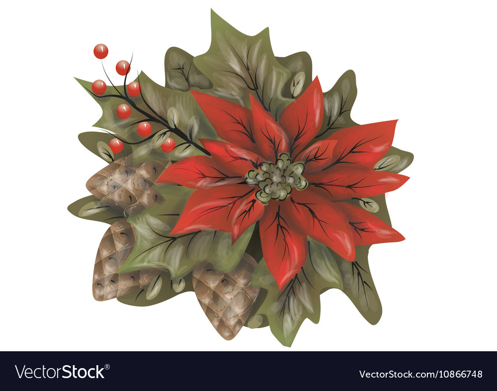 Poinsettia