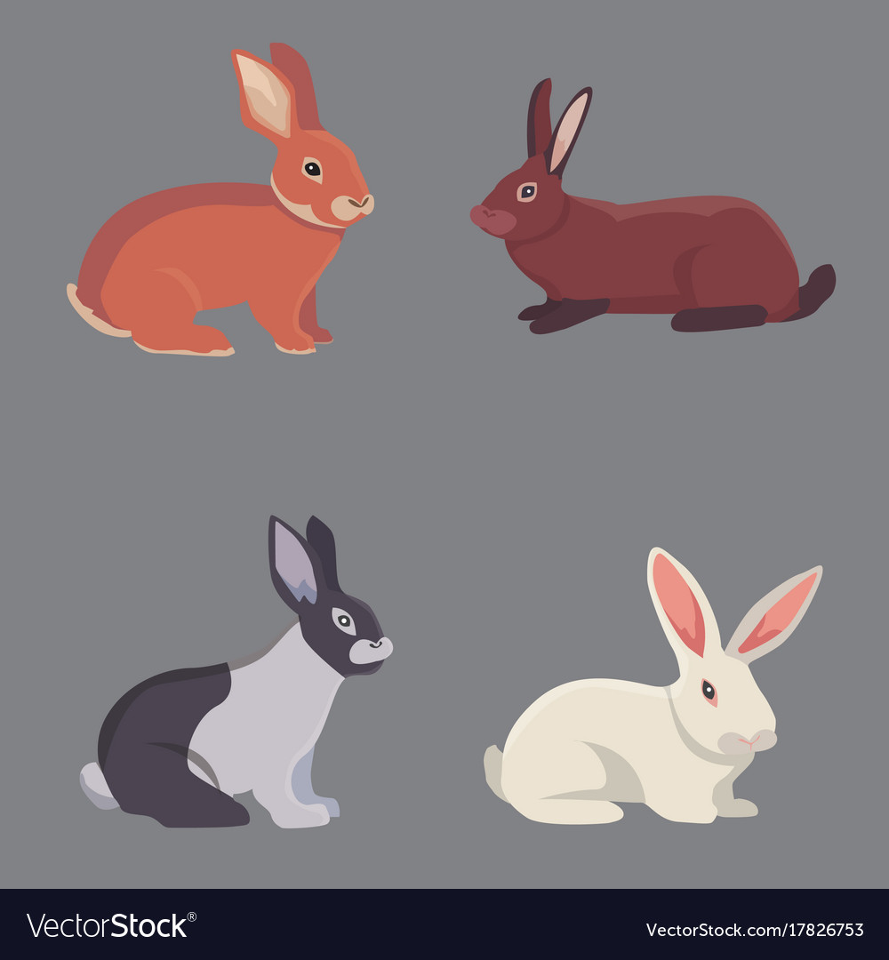 Cartoon rabbits different Royalty Free Vector Image