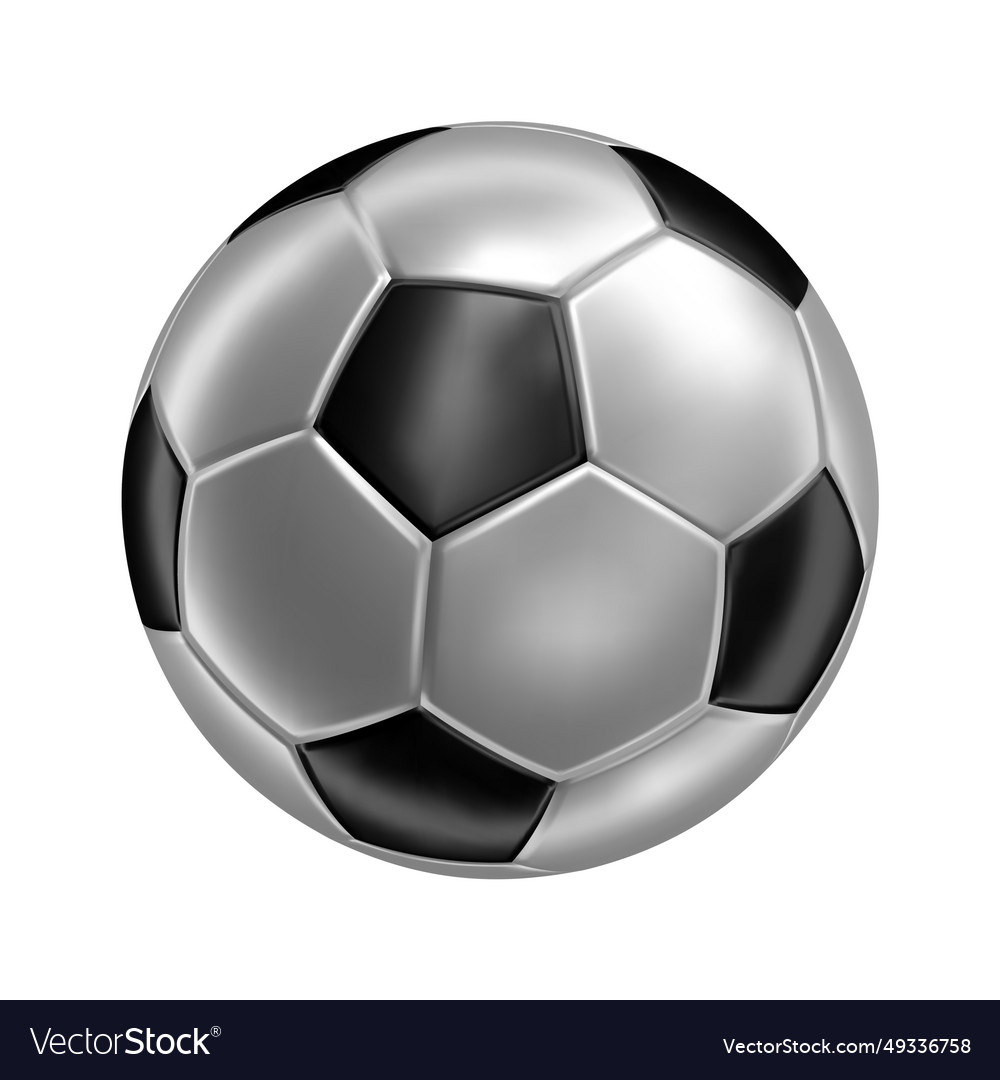 3d soccer ball icon silver color Royalty Free Vector Image