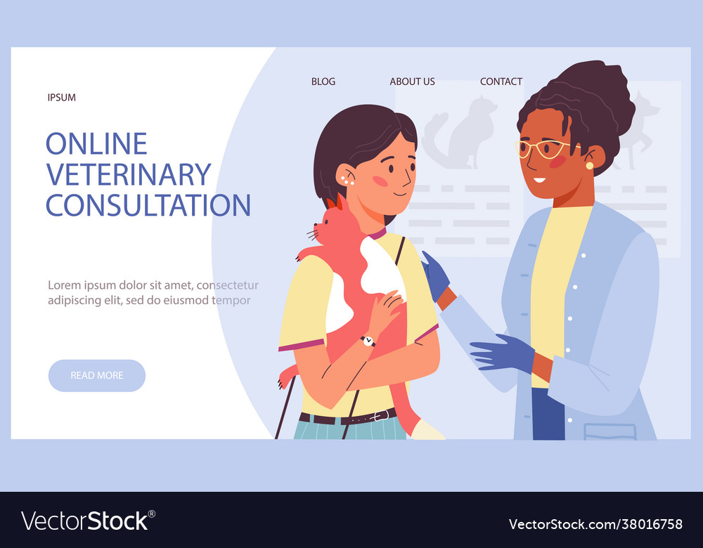 Web banner for veterinary care and treatment pet