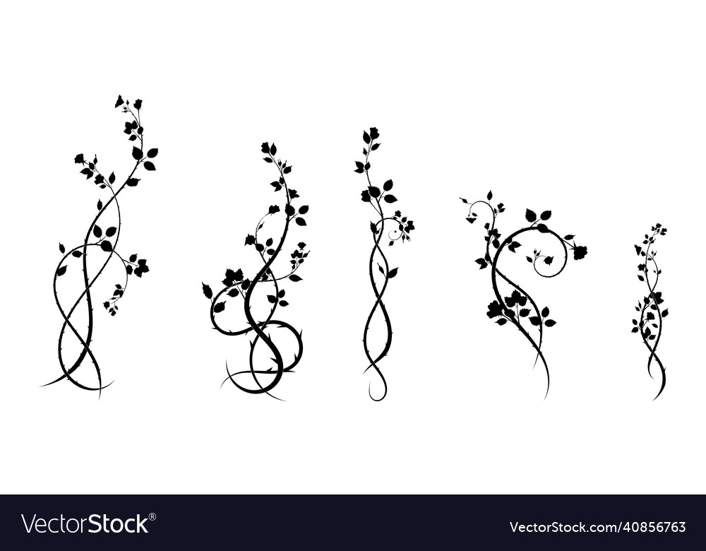 A selection of ornament elements patterns rose vector image A selection of ornament elements patterns rose
