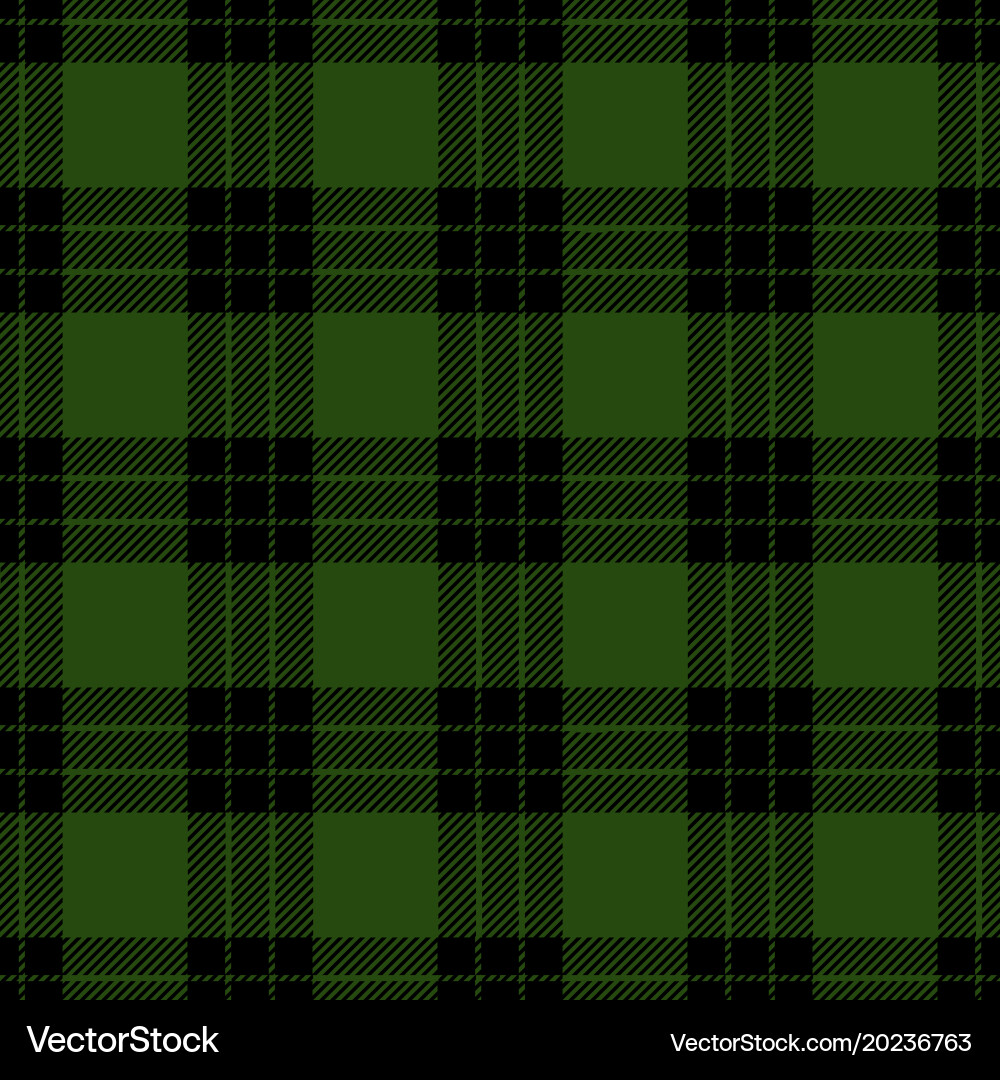 Clan graham scottis tartan plaid seamless pattern Vector Image
