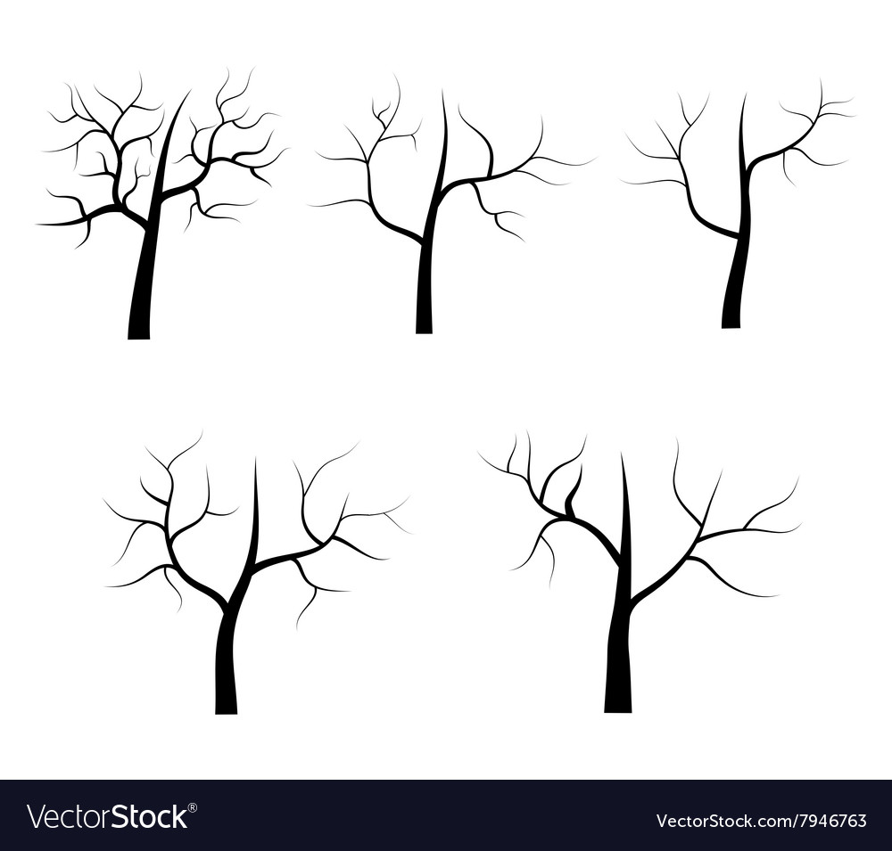 Dry tree on white background Royalty Free Vector Image