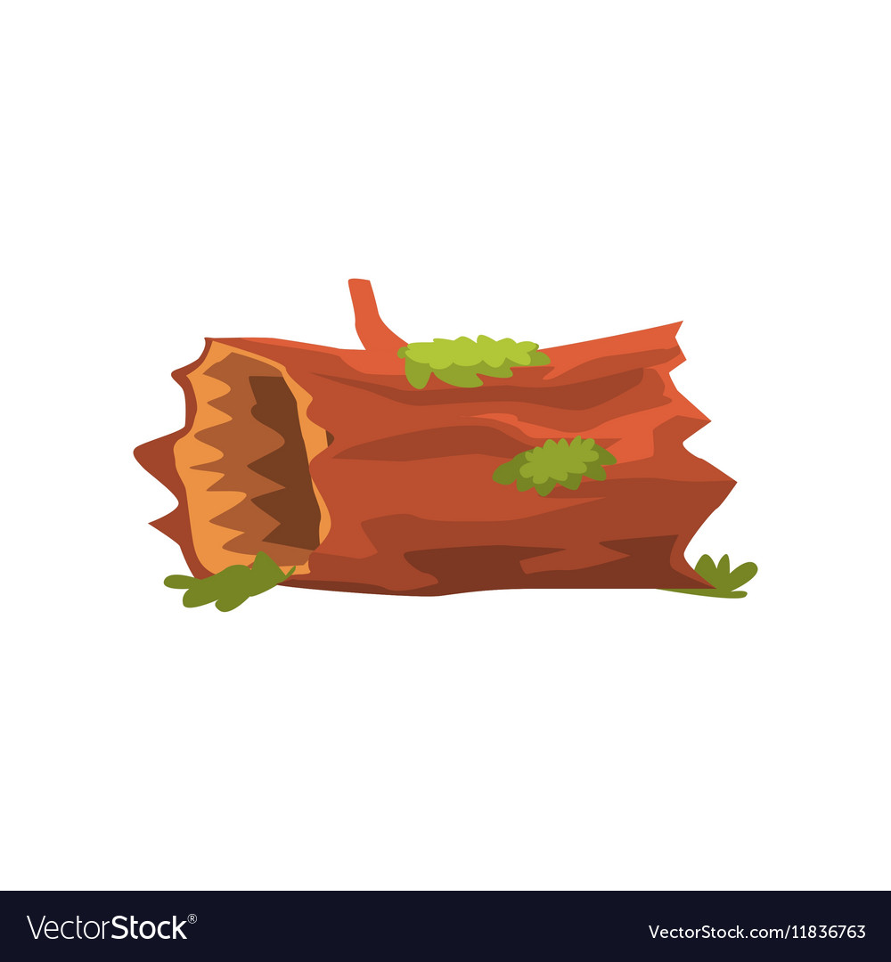 Moldering swamp log isolated element of forest