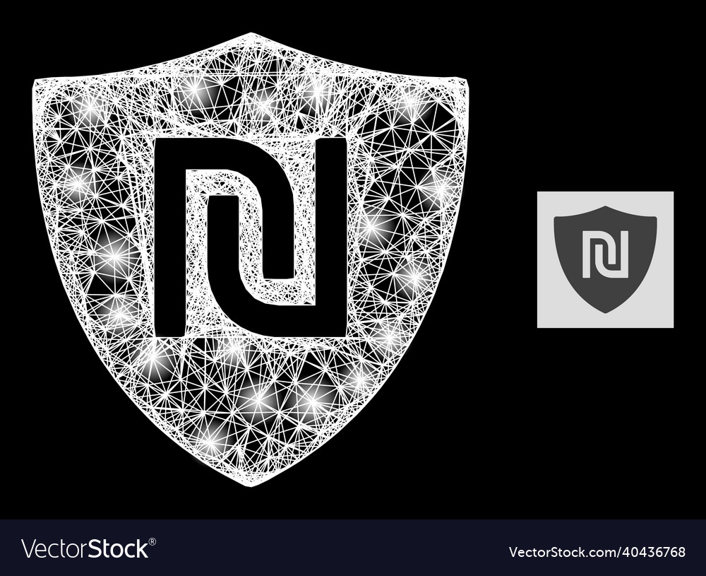 Bright net mesh shekel guard with glare spots