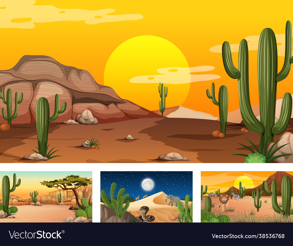 Different desert forest landscape scenes Vector Image