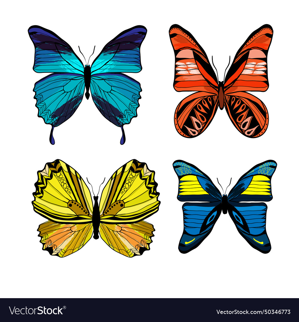Colorful graphic insects set with different kinds vector image Colorful graphic insects set with different kinds