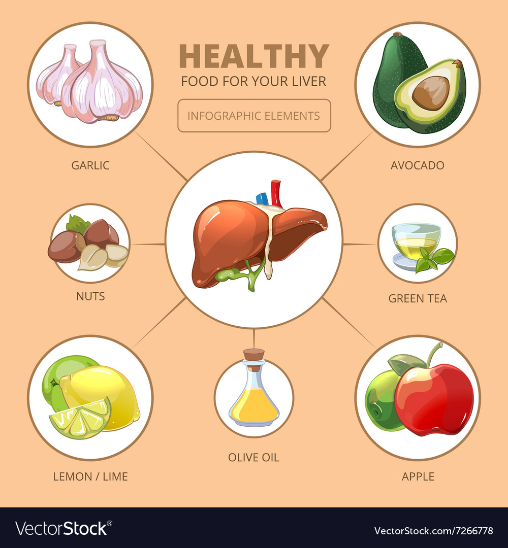 Healthy Foods For Liver Medical Health Royalty Free Vector