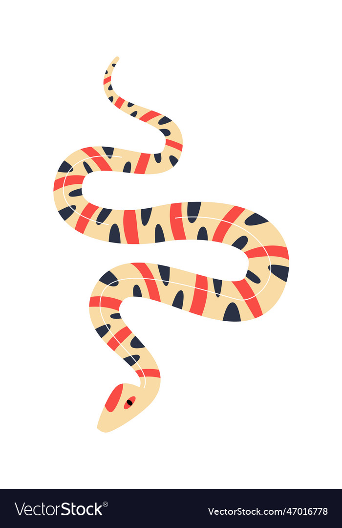 Striped snake reptile Royalty Free Vector Image